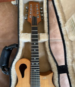 Tacoma M-1 Mandolin (2005)