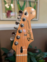 2017 Fender Player Stratocaster (Made in Mexico)