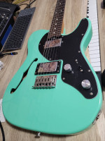 Eart E-TT2 Semi Hollow Body Electric Guitar