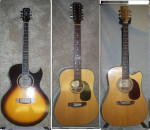 Acoustic & ac/el guitar:Norman Godin,Martin Sigma,solid top 12 string