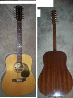 Acoustic & ac/el guitar:Norman Godin,Martin Sigma,solid top 12 string