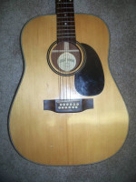 Acoustic & ac/el guitar:Norman Godin,Martin Sigma,solid top 12 string