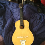 Goldtone acoustic guitar
