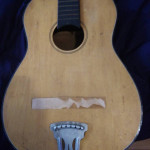 Goldtone acoustic guitar