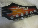Brownsville Flying Vee set neck V