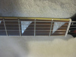 Brownsville Flying Vee set neck V
