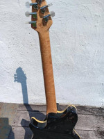 Peavey Wolfgang USA