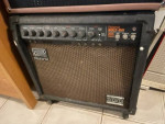 ROLAND BOLT-100 Tube Guitar Amp