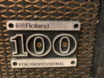 ROLAND BOLT-100 Tube Guitar Amp