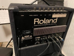 ROLAND BOLT-100 Tube Guitar Amp