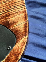 Ibanez RGAIX7U-ABS Iron Label