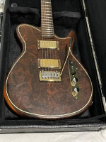 2016 USA Custom Built Electric Guitar W/HSC