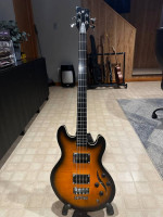 Warwick Rockbass Sklarbass Lee Sklar Signature