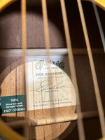 Martin OOO Jr-10E Shawn Mendes Signature Guitar