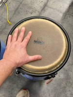 Nino / Meinl 9” and 10” congas NEW