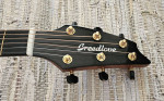 Breedlove Performer Concert Acoustic Electric Guitar