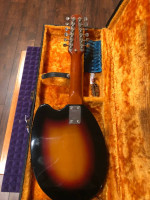 Vox 12 string Mando guitar 1966