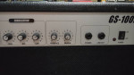Rogue 212 Combo Amp