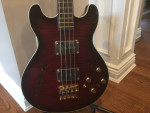 Warwick bass