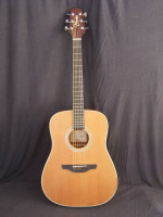 Takamine G series acoustic guitar