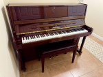 Amazing Like New Pearl River Professional Upright Piano
