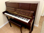 Amazing Like New Pearl River Professional Upright Piano