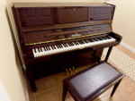Amazing Like New Pearl River Professional Upright Piano