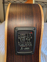 Larrivee D-03RE