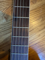 Nardan vintage archtop semi acoustic guitar