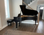 Steinway Grand - Model B