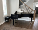 Steinway Grand - Model B