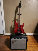 Laguna LE300 & Fender Champion 20 Amp