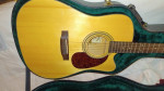 Martin Dreadnought EZ Play by Zager