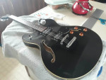Oscar Schmidt Washburn OE-30 Semi-Hollowbody Electric Guitar