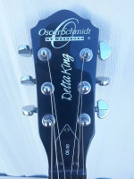 Oscar Schmidt Washburn OE-30 Semi-Hollowbody Electric Guitar