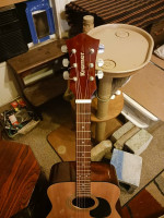 Kramer Acoustic