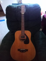 Custom Vintage Univox 12-string Acoustic Electric