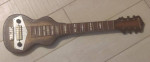 Kalamazoo Oriole Lap Steel