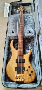 Custom Pavel 5 String Bass Guitar