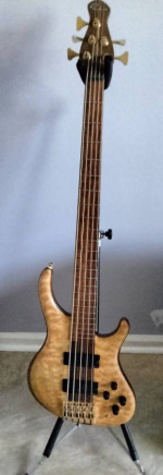Custom Pavel 5 String Bass Guitar