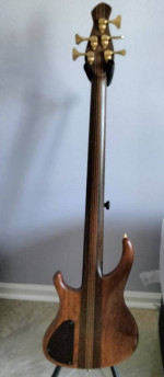 Custom Pavel 5 String Bass Guitar