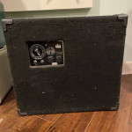 SWR Bertha 1x15 with Horn Full Range Bass Cabinet