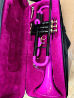 Nice Pink and Black Brass Trumpet with New Mouthpiece $200 Firm