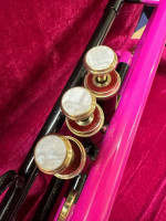 Nice Pink and Black Brass Trumpet with New Mouthpiece $200 Firm