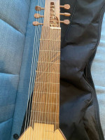 EMS Theorbo with Gig Bag