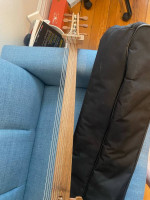 EMS Theorbo with Gig Bag