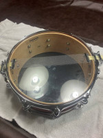 Premier Genista Snare