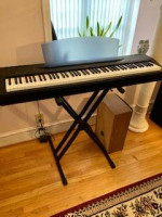 Yamaha P60 Digital Piano in Black - $600