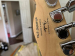 Fender Squire Model 51