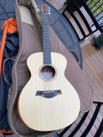 Taylor 12e